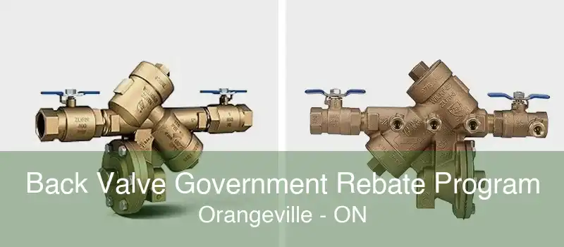 Back Valve Government Rebate Program Orangeville - ON