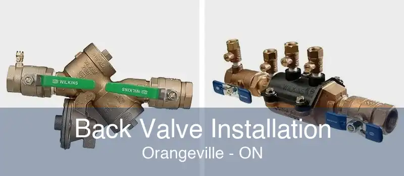 Back Valve Installation Orangeville - ON