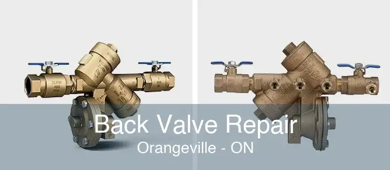 Back Valve Repair Orangeville - ON