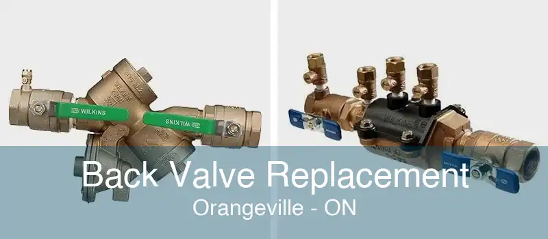 Back Valve Replacement Orangeville - ON