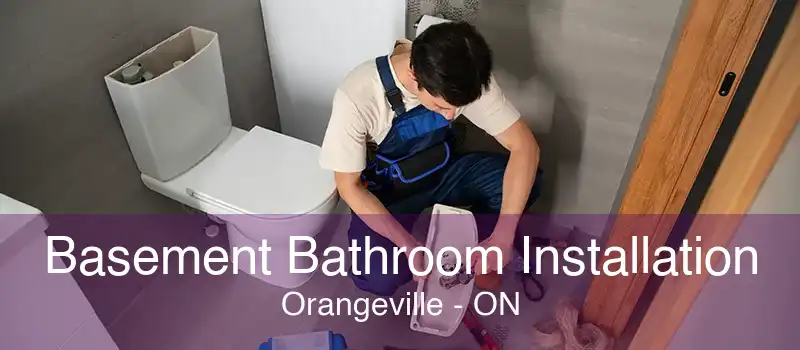 Basement Bathroom Installation Orangeville - ON