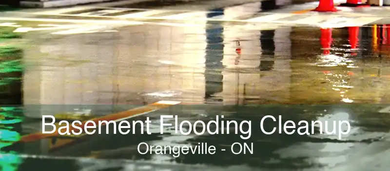 Basement Flooding Cleanup Orangeville - ON