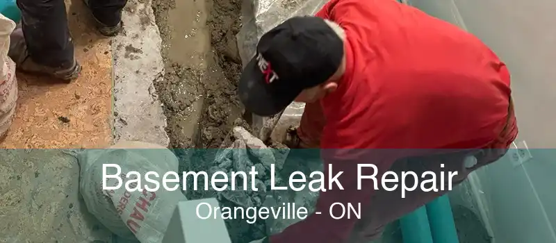 Basement Leak Repair Orangeville - ON