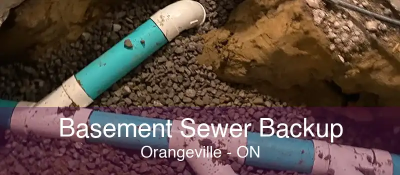 Basement Sewer Backup Orangeville - ON