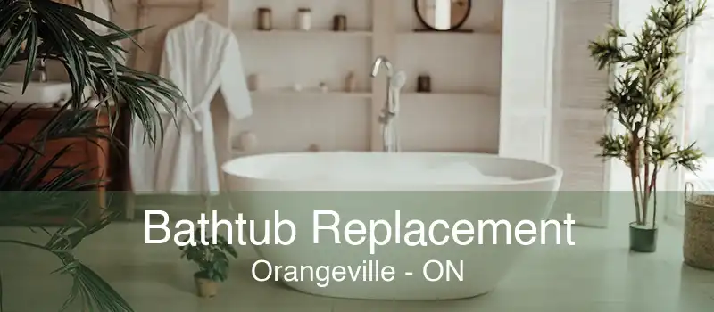 Bathtub Replacement Orangeville - ON