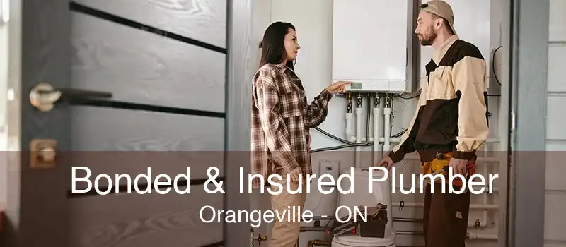 Bonded & Insured Plumber Orangeville - ON