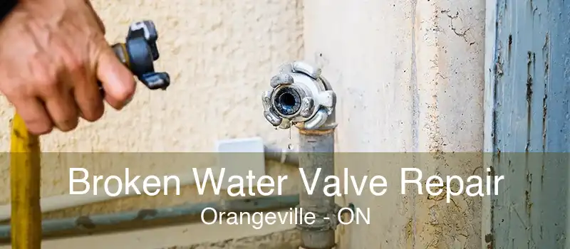 Broken Water Valve Repair Orangeville - ON