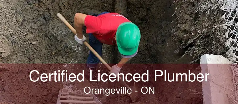 Certified Licenced Plumber Orangeville - ON