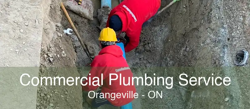 Commercial Plumbing Service Orangeville - ON