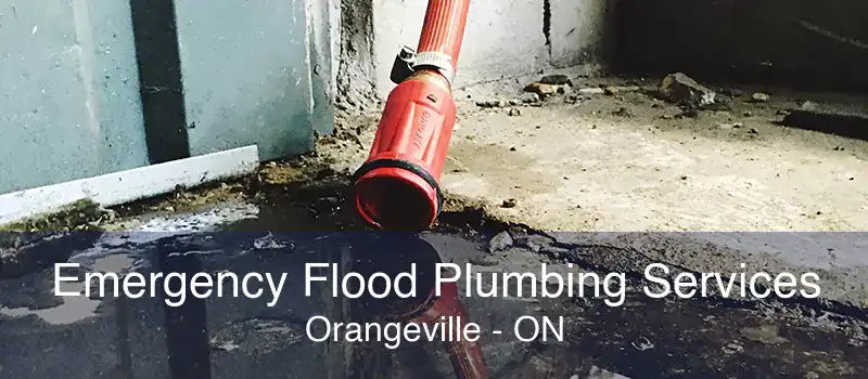 Emergency Flood Plumbing Services Orangeville - ON