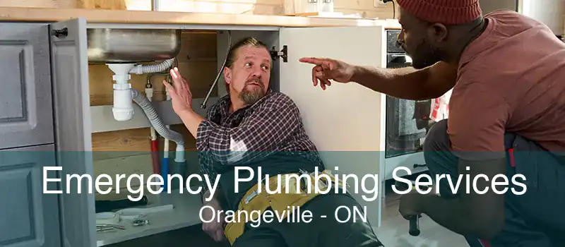 Emergency Plumbing Services Orangeville - ON