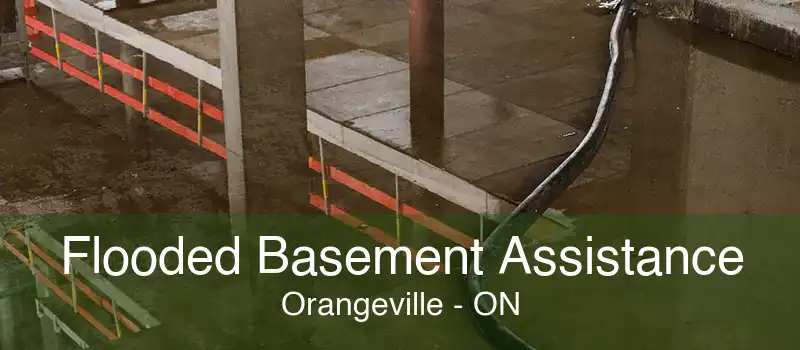 Flooded Basement Assistance Orangeville - ON