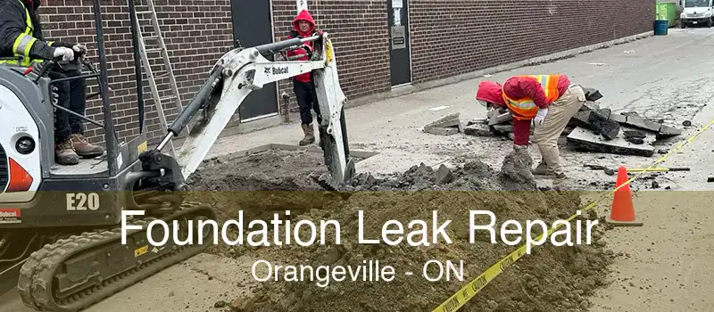 Foundation Leak Repair Orangeville - ON