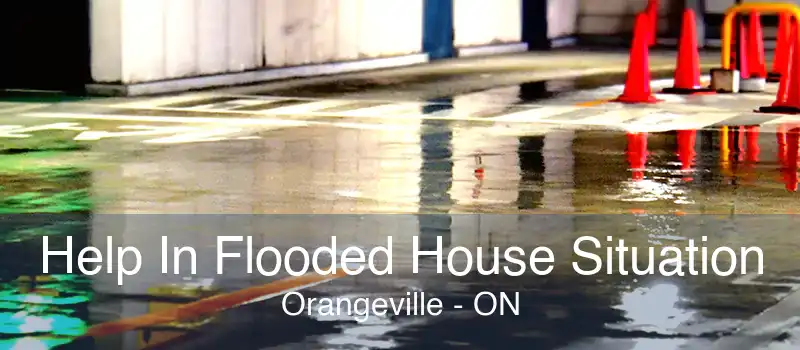 Help In Flooded House Situation Orangeville - ON