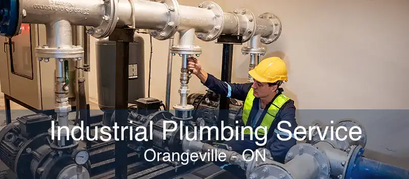 Industrial Plumbing Service Orangeville - ON