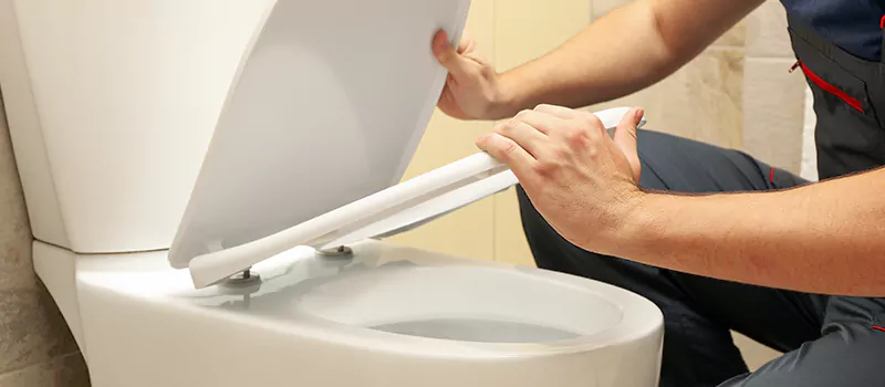 Damaged Toilet Parts Replacement Services in Orangeville, ON