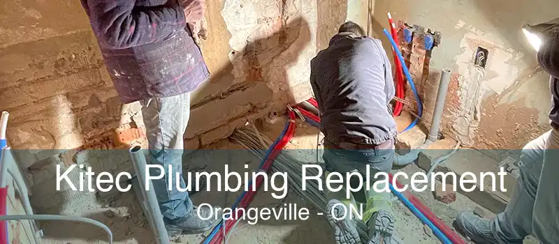 Kitec Plumbing Replacement Orangeville - ON