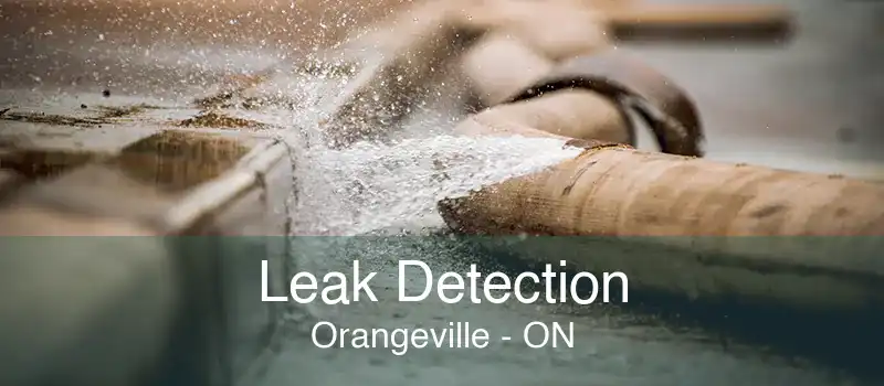 Leak Detection Orangeville - ON