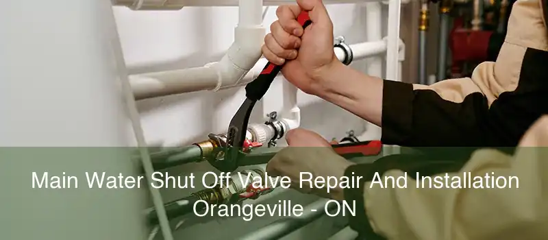 Main Water Shut Off Valve Repair And Installation Orangeville - ON