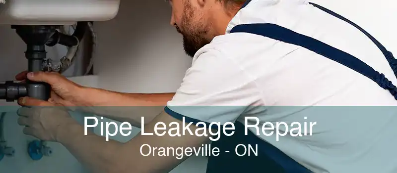 Pipe Leakage Repair Orangeville - ON