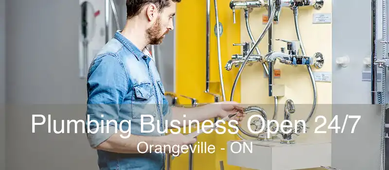 Plumbing Business Open 24/7 Orangeville - ON