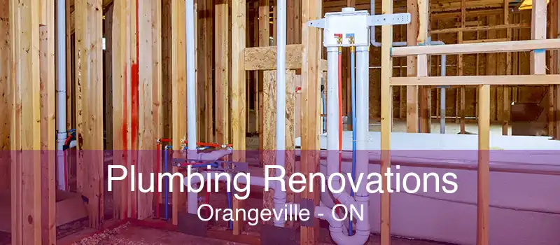 Plumbing Renovations Orangeville - ON