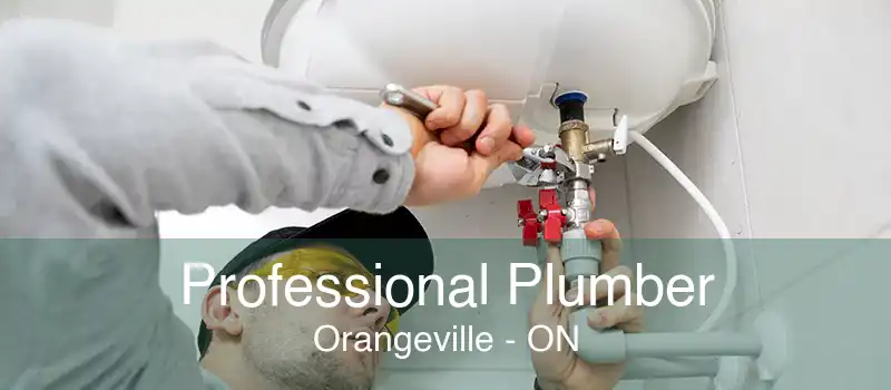 Professional Plumber Orangeville - ON