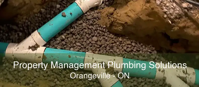 Property Management Plumbing Solutions Orangeville - ON