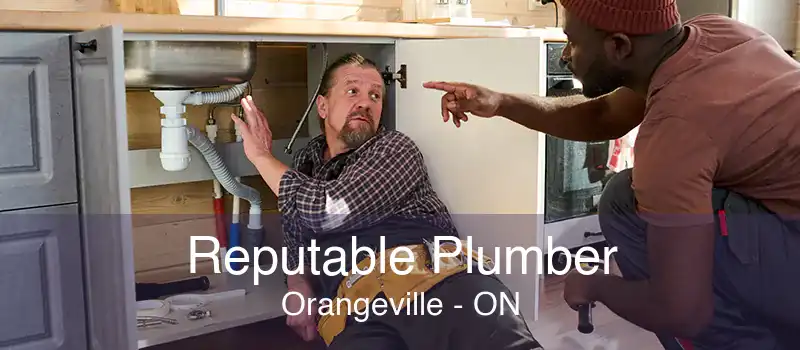 Reputable Plumber Orangeville - ON