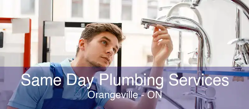 Same Day Plumbing Services Orangeville - ON