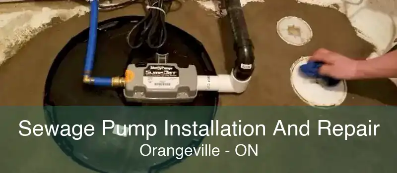 Sewage Pump Installation And Repair Orangeville - ON