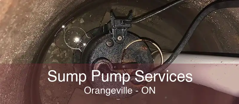 Sump Pump Services Orangeville - ON