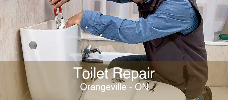 Toilet Repair Orangeville - ON