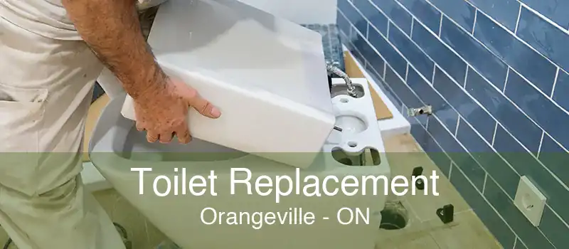 Toilet Replacement Orangeville - ON