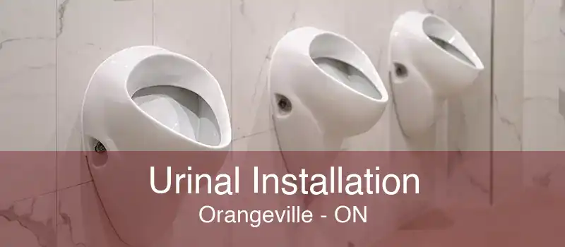 Urinal Installation Orangeville - ON