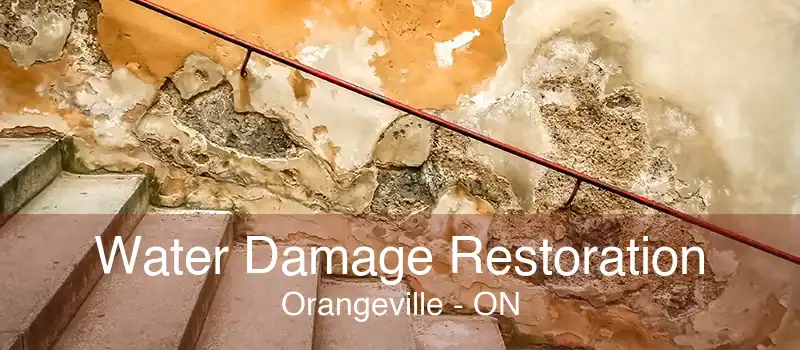 Water Damage Restoration Orangeville - ON