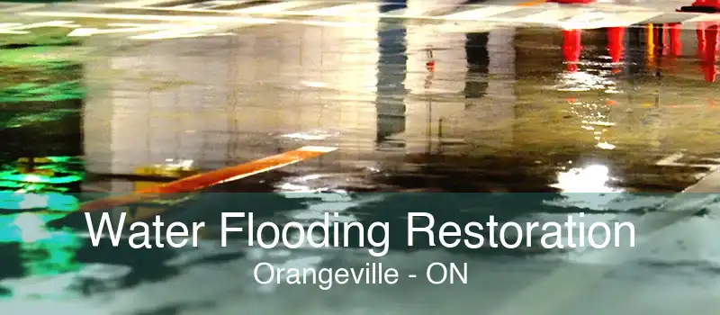 Water Flooding Restoration Orangeville - ON