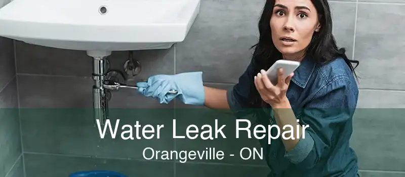 Water Leak Repair Orangeville - ON