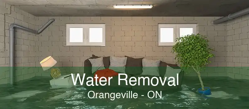 Water Removal Orangeville - ON